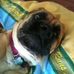 Jeff Butterfield - Facebook