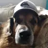 shast_99 - @jeff_byrnes - TikTok