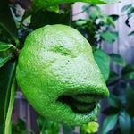 Jeff Byron - @jbinirvine - Instagram