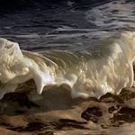 Jeff Byron - @bees2413 - Instagram