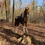 Jeff Cagle - @cagle.jeff - Instagram