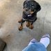 Jeff Cagle - Facebook