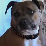 Jeff Cairns - @jeff_cairns_ - Instagram
