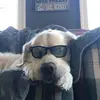 Jeff Canney - @jeffc6488 - TikTok