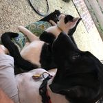 Jeff capps - @jeffcapps58 - Instagram