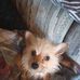 Jeff Carbaugh - Facebook