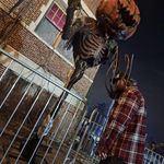 Jeff Carbaugh - @mr.venom8484 - Instagram
