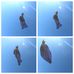 Jeff Carlucci - Facebook