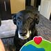 Jeff Carnell - Facebook