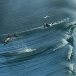 Jeff Carnell - @jeffcarnell - Instagram