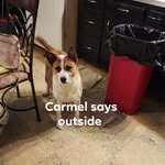 Jeff Carstens - @lily736372 - Instagram
