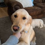 jeff case - @jeffcase5249 - Instagram