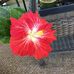 Jeff Casper - Facebook