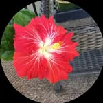 jeff.casper - @jeff.casper10 - Instagram