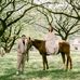Jeff Garcia Castro Photography and Films - Facebook