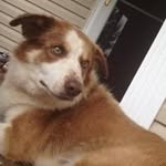 Jeff Caudill - @caudill_jeff - Instagram