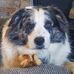 Jeff Caylor - Facebook