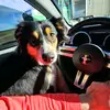 Jeff Checketts - @jeffchecketts - TikTok