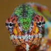 jeffcheck - @jeffcheck - TikTok