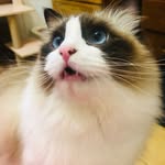 Jeff Chen - @jeffchen0327 - Instagram