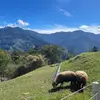 Jeff CHEN - @jeff.chen515 - TikTok