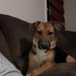 Jeff Child - @jchild70 - Instagram