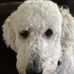 Jeff Choate - Facebook