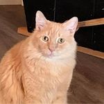Jeff Clausen - @jclaw1 - Instagram