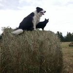 jeff clegg - @clegg2833 - Instagram