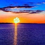 Jeff Clegg - @jeff.clegg.93 - Instagram