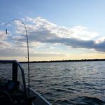 Jeff Clegg - @jeff.clegg.39 - Instagram