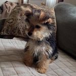 Jeff Clifton - @shysterj - Instagram
