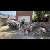 Jeffrey Cobos - Facebook