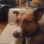 Jeff Cockrum - @jeff.cockrum - Instagram
