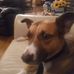 Jeff Cockrum - Facebook