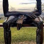 Jeff Coffman - @jeff.coffman.54 - Instagram