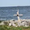 jeff koger - @jeffkoger - TikTok