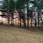 Jeff Coggin - @coggin.jeff - Instagram