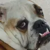 Jeff Coggin - @jeff.coggin - TikTok