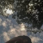 Jeff Colabo - @jeffcolabo - Instagram