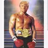 trump is great - @jeff.colbert2020 - TikTok