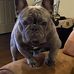 Jeff Colburn - Facebook