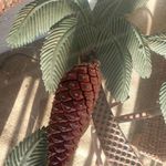 Jeff Colebrooke - @crackerpinecone - Instagram