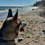 Jeff Coll - Facebook