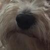 jeff.coll - @jeff.coll - TikTok