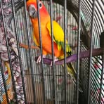 Jeffrey Colucci - Facebook