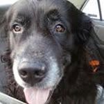 Jeff Colwell - @jeff.colwell.311 - Instagram