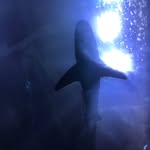 JeffColwell - @jeffdcolwell82 - Instagram