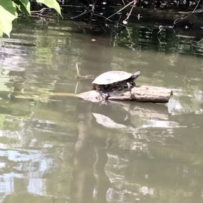 jeffcoman - @jeffcoman - TikTok