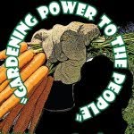 @jeffcomastergardeners - Instagram